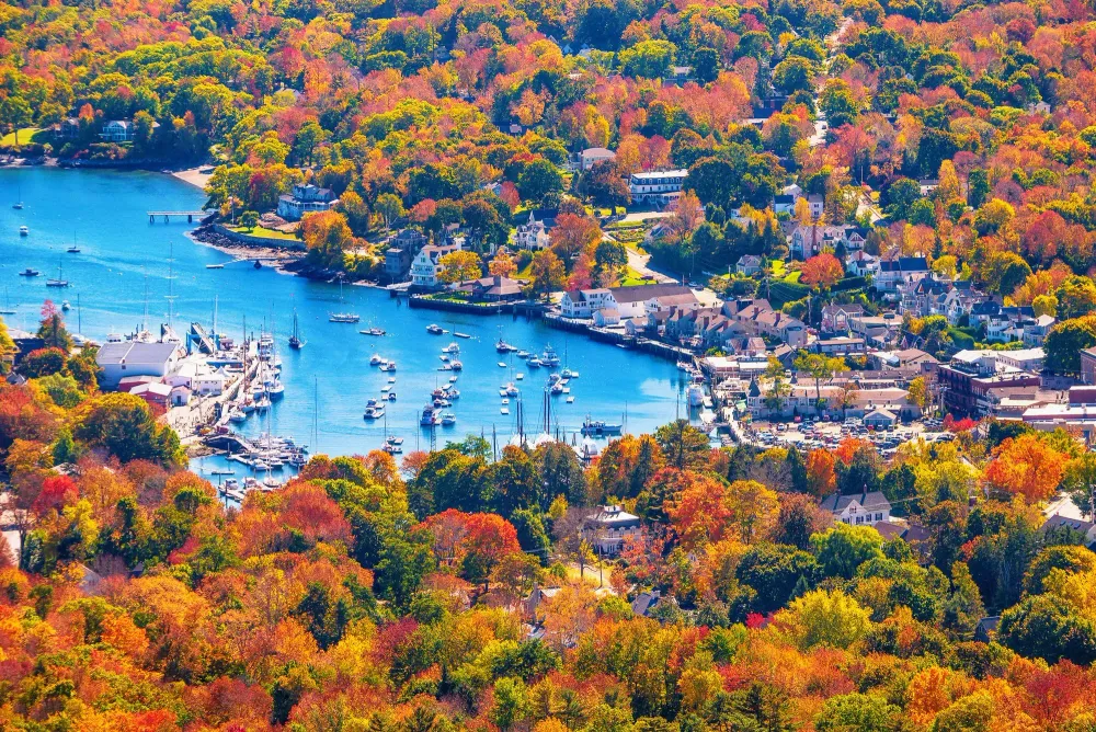 Aerial view of fall foliage in Main